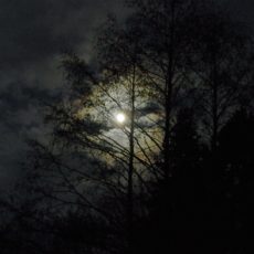 Sitting with the Night
