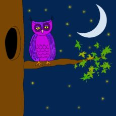 Go and Be With the Night